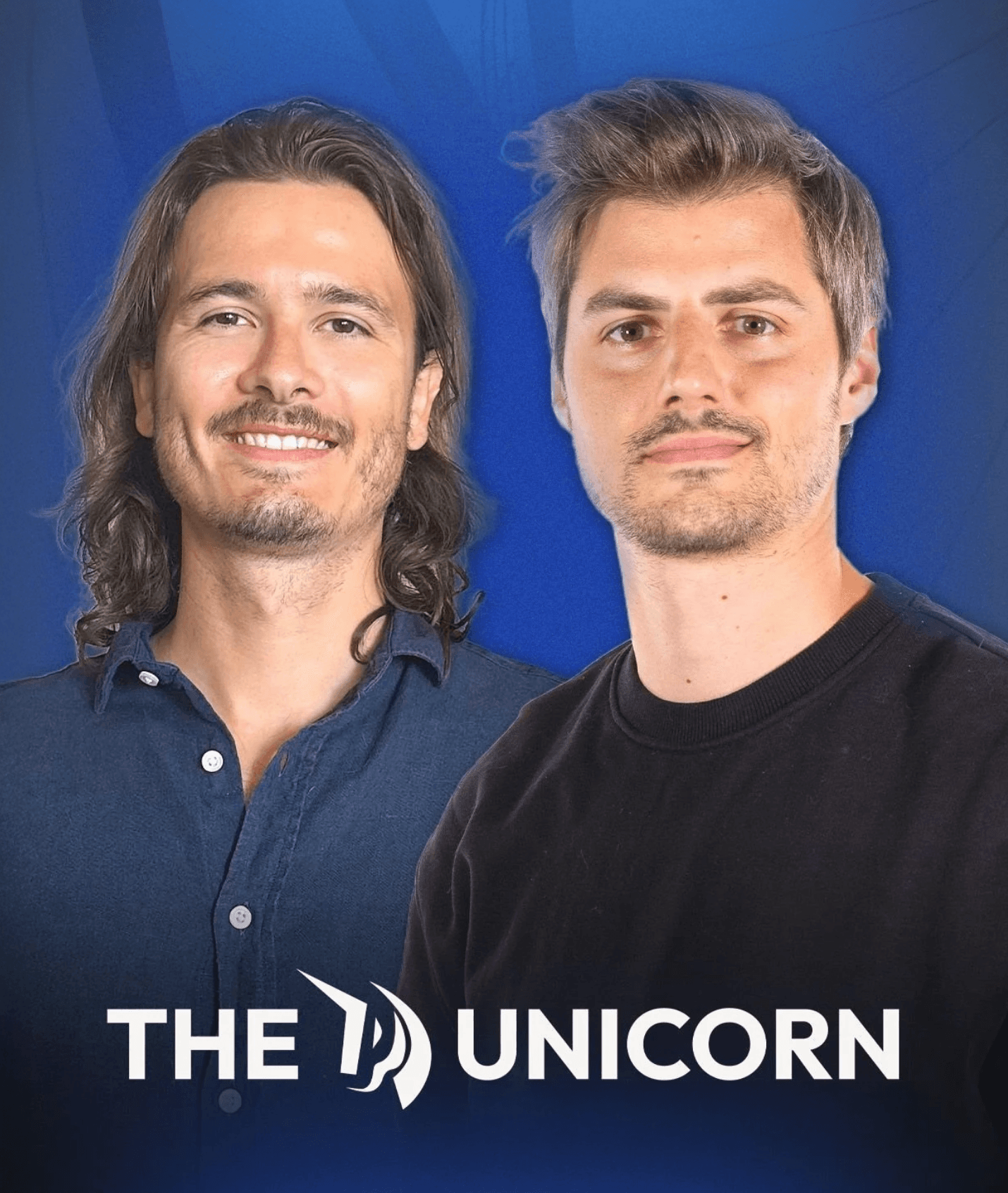The Unicorn